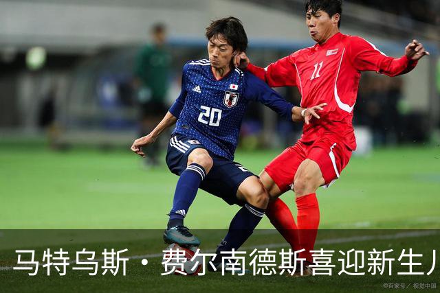 马特乌斯·费尔南德斯喜迎新生儿，热刺给予陪产假